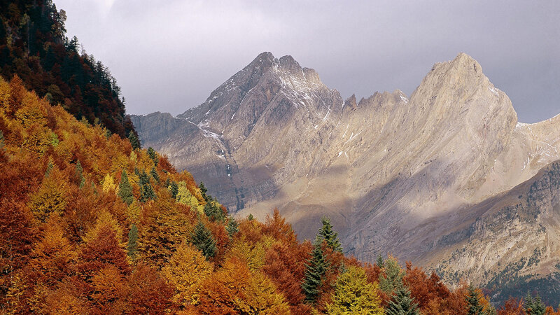 Autumn Forest Mountains — Orange, Dramatic, Photograph