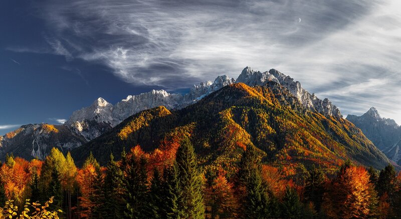 Autumn Forest Mountains — Orange, Dramatic, Photograph, Trees