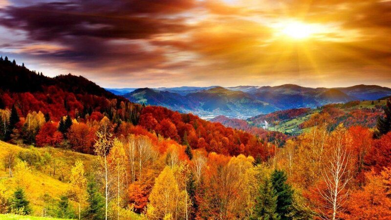 Autumn Forest Mountains — Orange, Dramatic, Sunset, Photograph