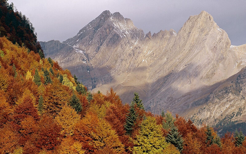 Autumn Forest Mountains — Orange, Dramatic