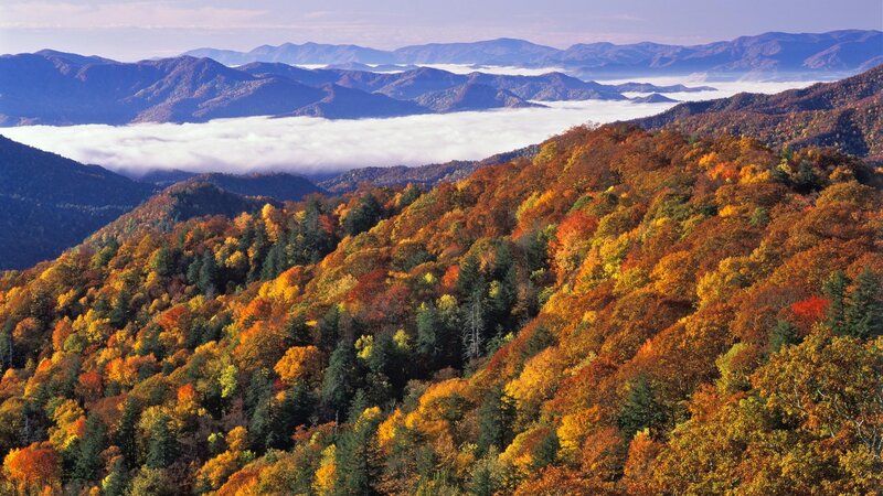 Autumn Forest Mountains — Orange, Serene, Photograph, Clouds, Trees