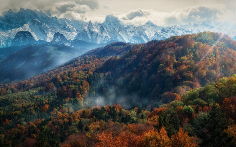 Autumn Forest Mountains — Orange, Serene, Photograph, Snow-capped Peaks