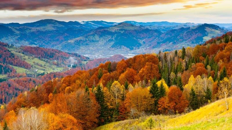 Autumn Forest Mountains — Orange, Serene, Sunset, Photograph