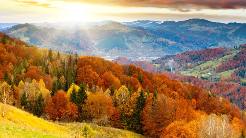 Autumn Forest Mountains — Orange, Serene, Sunset, Photograph, Trees