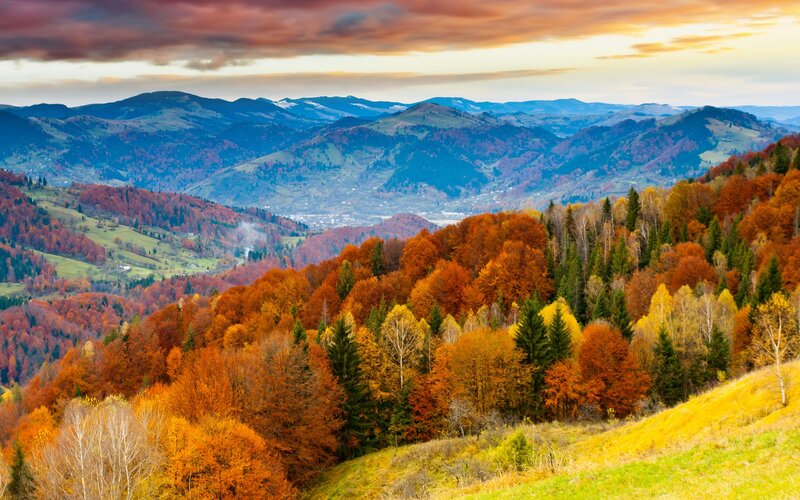 Autumn Forest Mountains — Orange, Serene