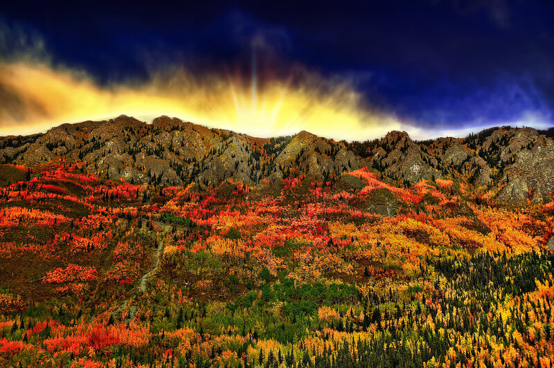 Autumn Forest Mountains — Orange