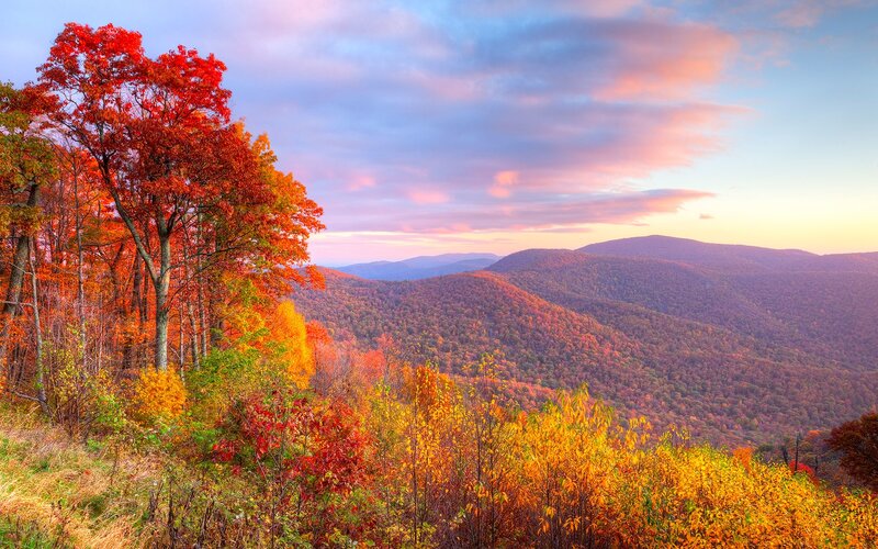 Autumn Forest Mountains — Red, Serene, Sunset