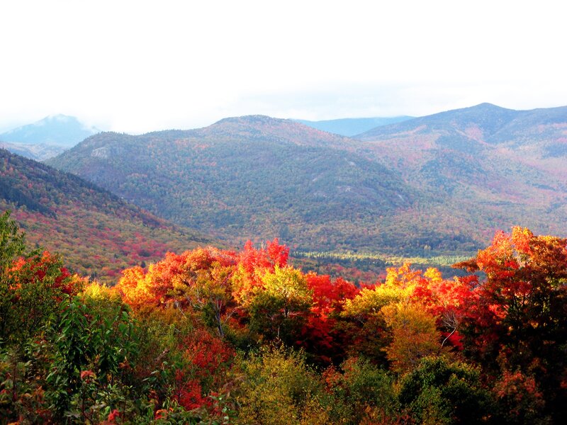 Autumn Forest Mountains — Red, Serene