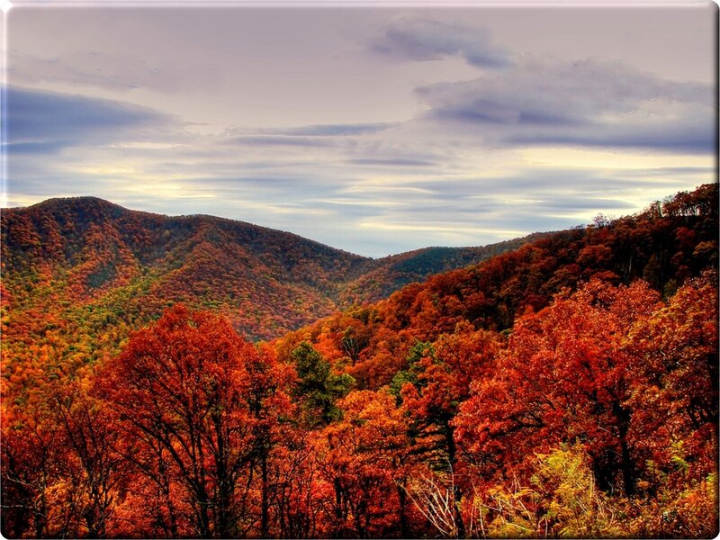 Autumn Forest Mountains