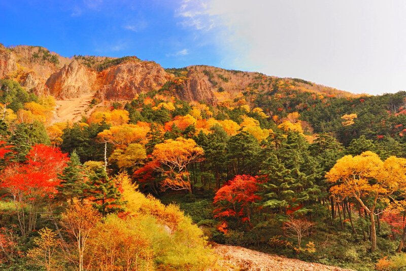 Autumn forest on a mountain slope