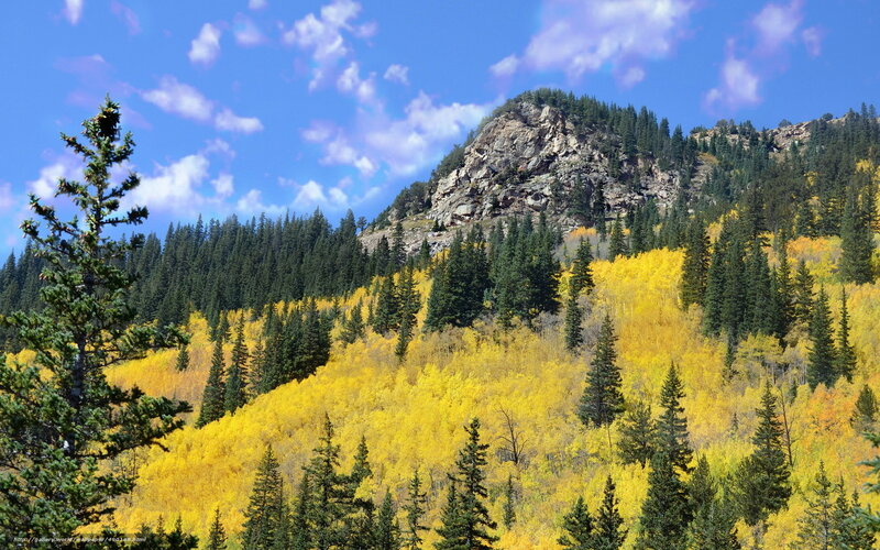 Autumn forest on a mountain slope