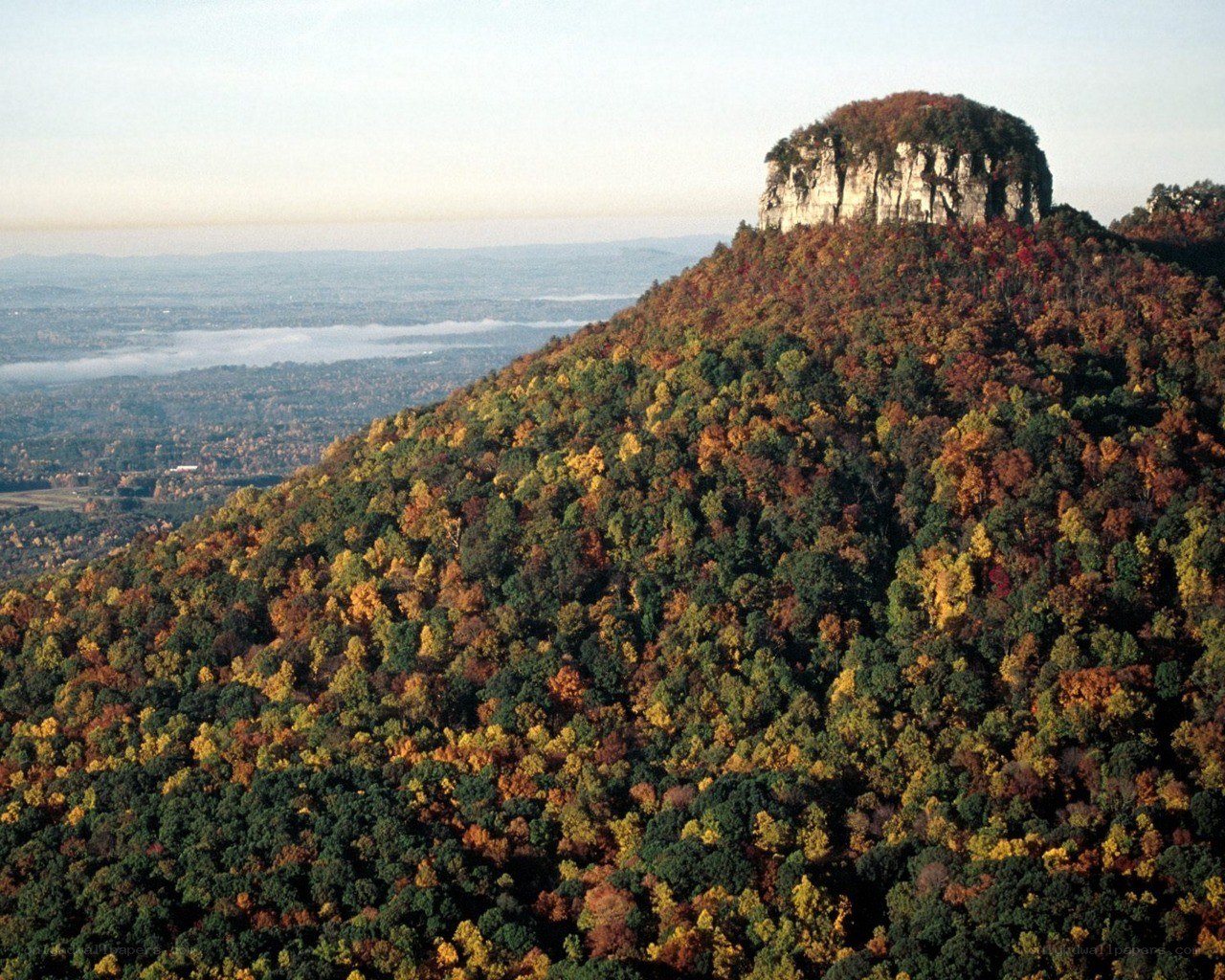 Autumn forest on a rocky hill