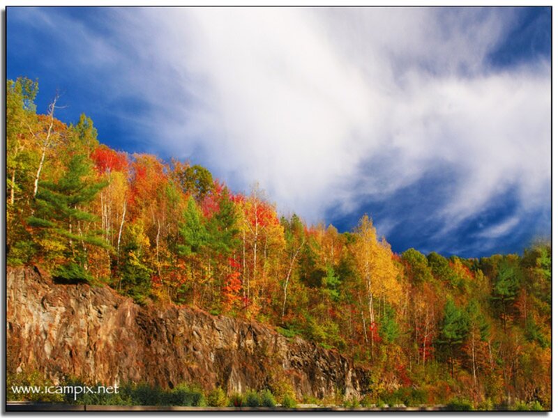 Autumn Forest on Cliff — Blue