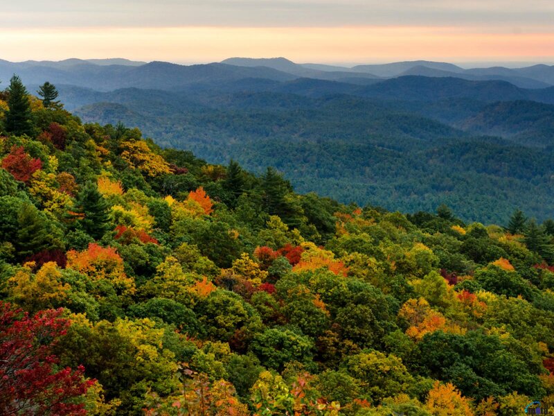 Autumn Forest on Hills — Green, Serene