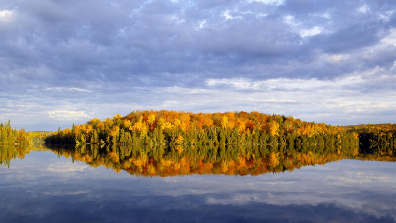 Autumn Forest on Island — Blue
