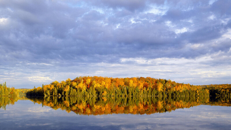 Autumn Forest on Island