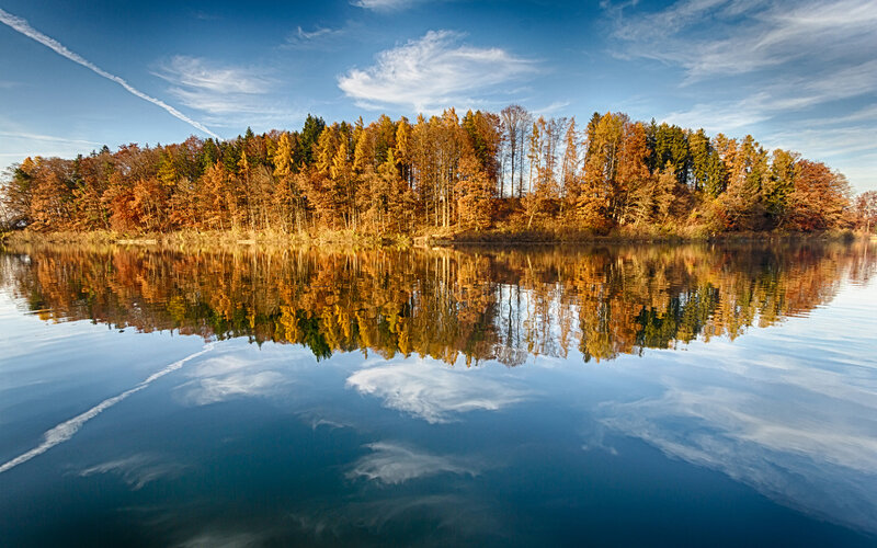 Autumn Forest on Lake — Blue, Serene