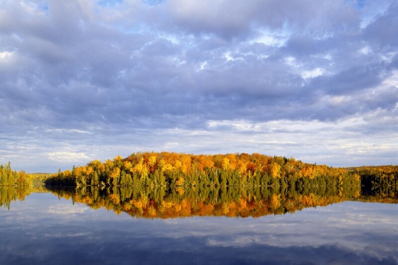 Autumn Forest on Lake — Blue
