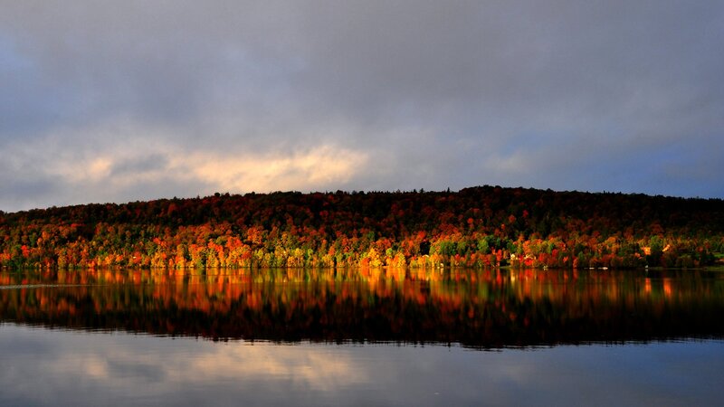 Autumn Forest on Lake — Orange