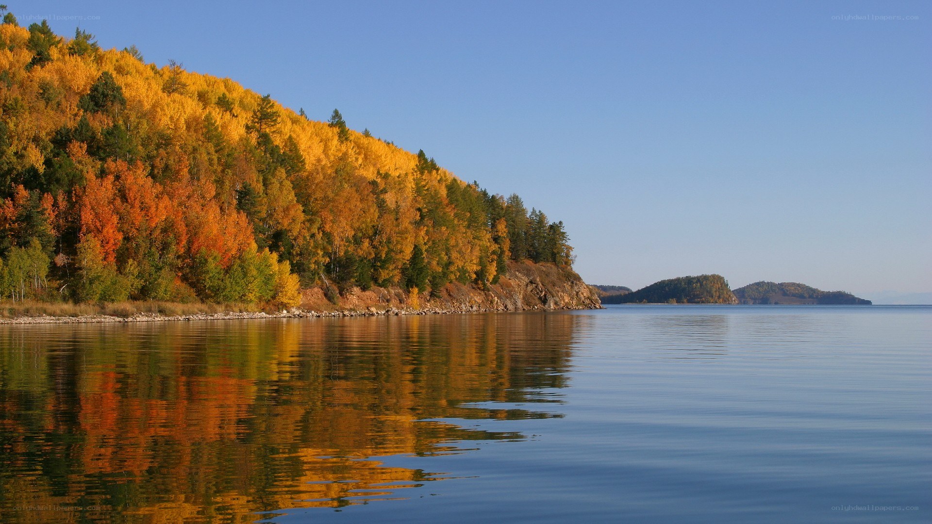 Autumn forest on lake shore