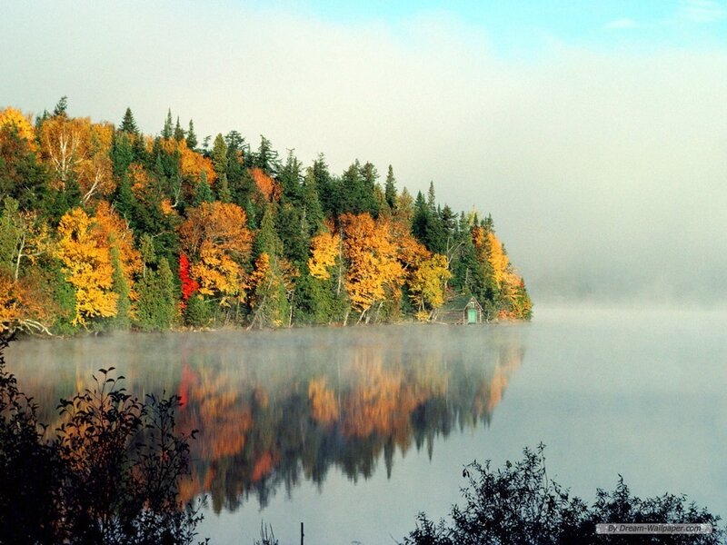 Autumn Forest on Lake
