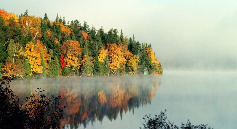 Autumn Forest on Lake — Yellow