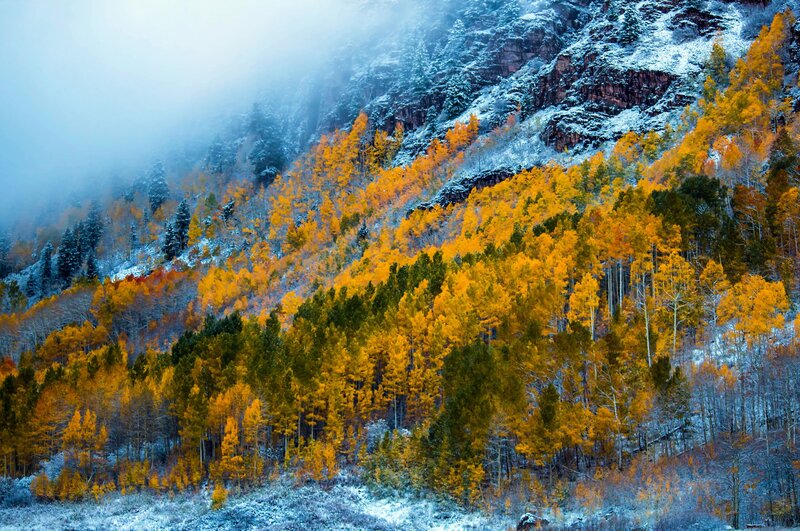 Autumn Forest on Mountain — Yellow