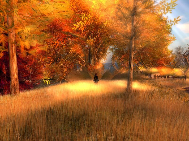 Autumn forest path