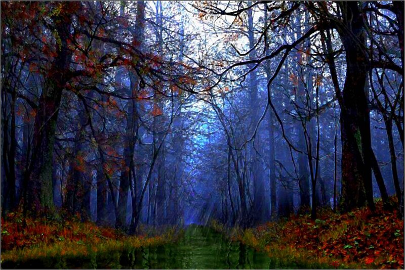 Autumn Forest Path — Blue, Mystical