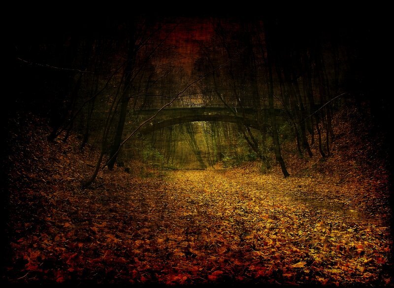 Autumn Forest Path — Brown, Dark