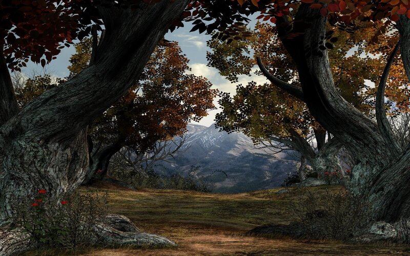 Autumn Forest Path — Brown, Serene