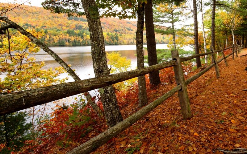 Autumn forest path by lake