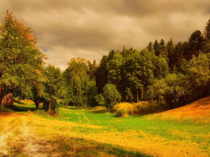 Autumn Forest Path — Green, Dramatic