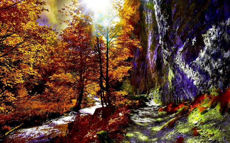 Autumn Forest Path — Orange, Dramatic
