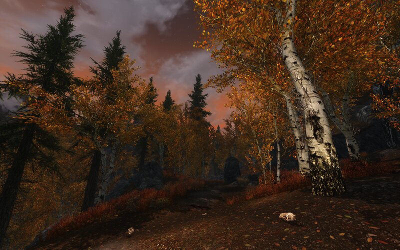 Autumn Forest Path — Orange, Serene, 3d Render
