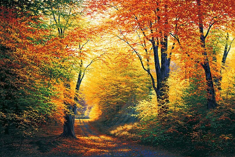 Autumn Forest Path — Orange, Serene, Painting, Trees, Leaves, Sunlight