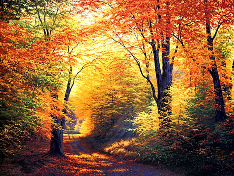 Autumn Forest Path — Orange, Serene, Painting, Trees, Leaves, Sunlight, Yellow, Green