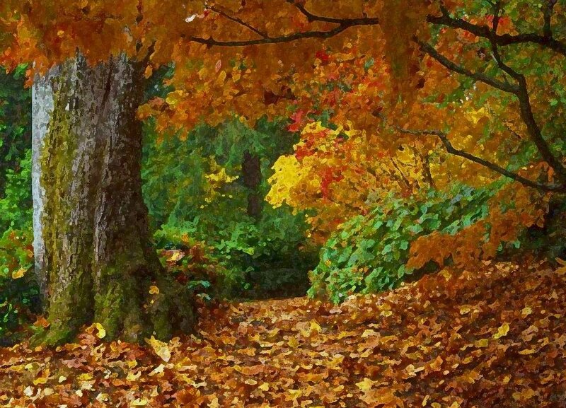Autumn Forest Path — Orange, Serene, Painting, Trees, Leaves, Yellow, Green