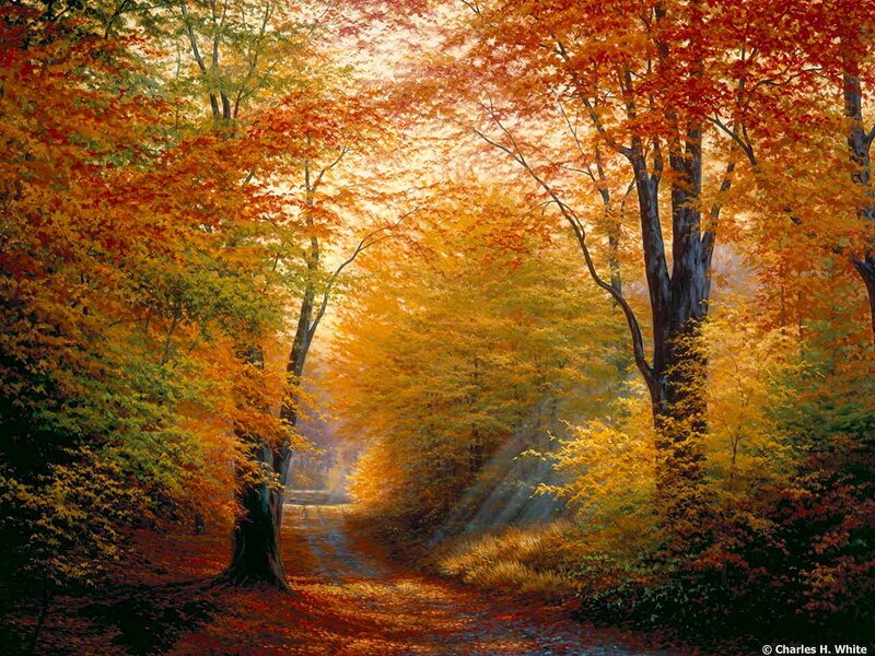 Autumn Forest Path — Orange, Serene, Painting, Trees, Sunlight