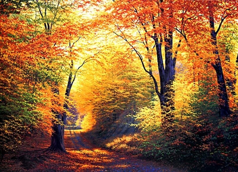 Autumn Forest Path — Orange, Serene, Painting, Trees