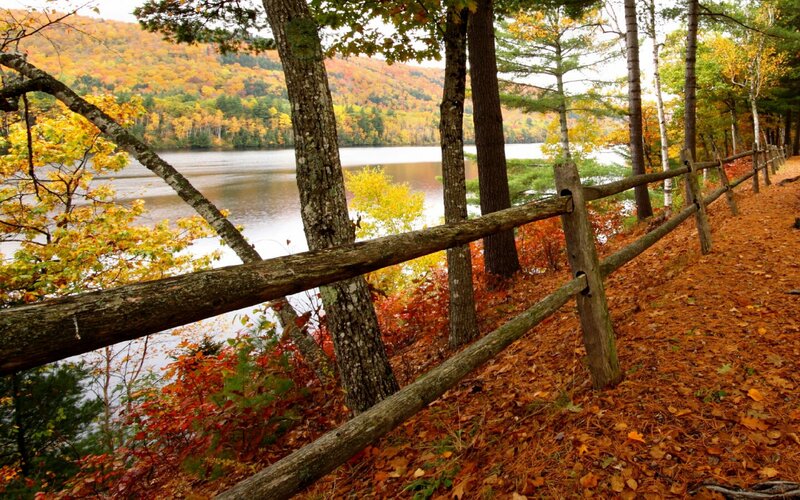 Autumn Forest Path — Orange, Serene, Photograph, Lake