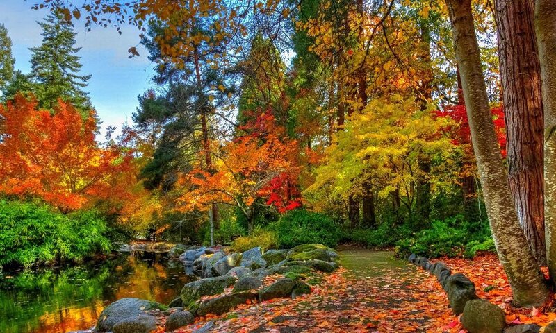 Autumn Forest Path — Orange, Serene, Photograph, Trees, River, Leaves, Rocks