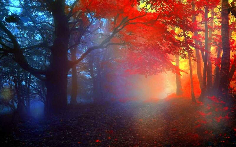 Autumn Forest Path — Red, Dramatic, Digital Art