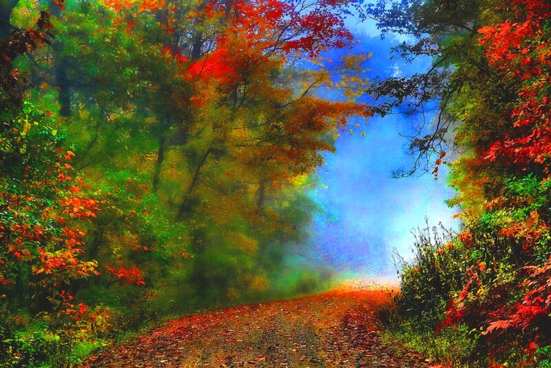 Autumn Forest Path — Red, Serene, Digital Art