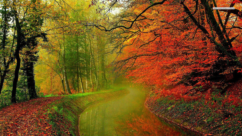 Autumn Forest Path — Red, Serene, Photograph, River