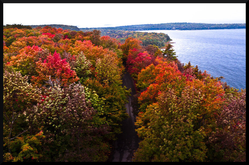 Autumn Forest Path — Red, Serene, Photograph, Road