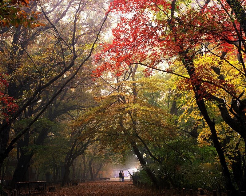 Autumn forest path with couple