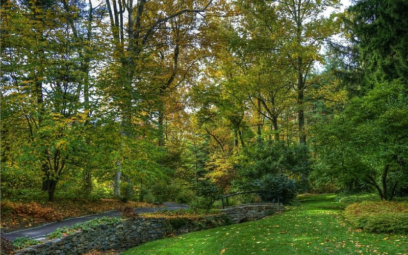 Autumn forest path with stone wall