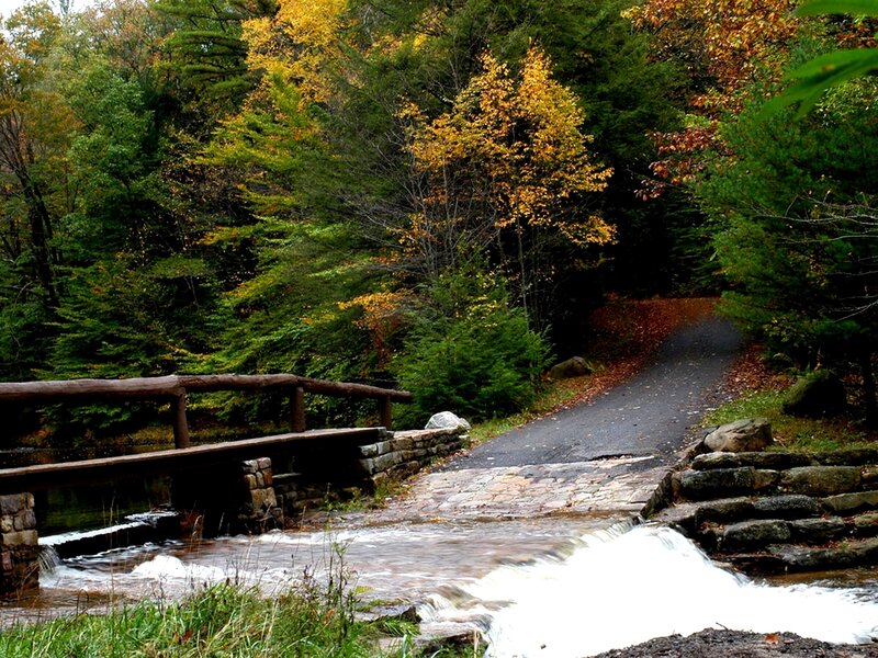 Autumn forest path with stream