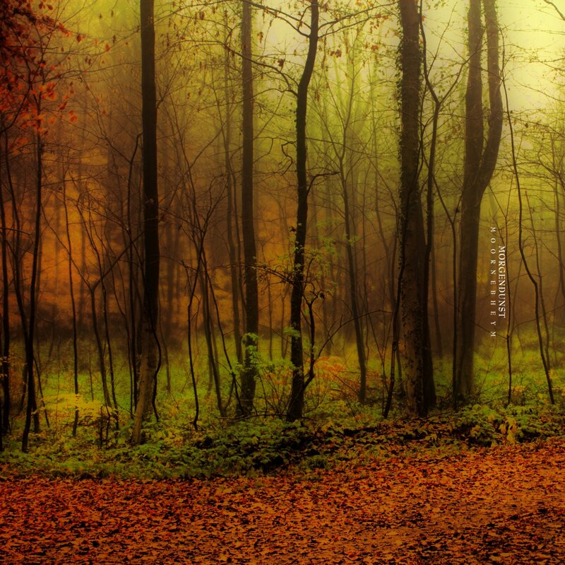 Autumn Forest Path — Yellow, Misty